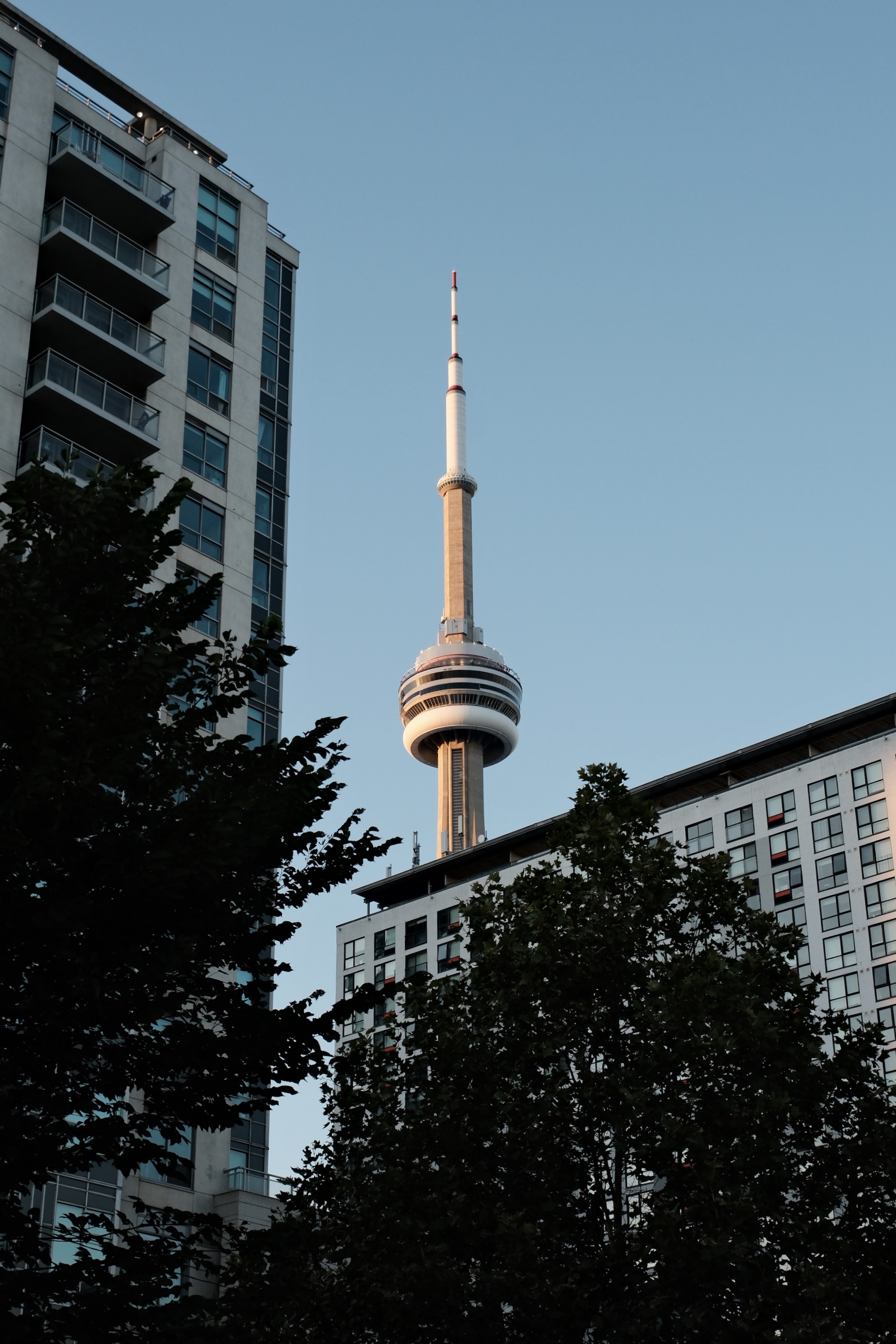 CN Tower rising above downtown Toronto condos at dusk